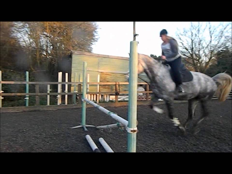 Roxy Roo Zoe Maxwell and Roxy Roo - YouTube