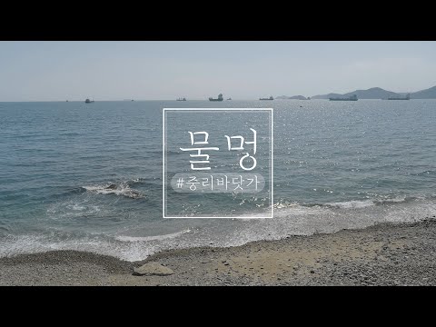 중리바닷가