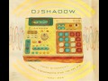 Video thumbnail for DJ Shadow-Atmospheric Disturbances