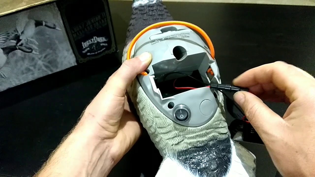 Новинка!!! Обзор чучела Lucky Duck - lucky junior II