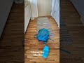 What I bring with me for longer summer day hikes #hiking #hikinggear #solohiking #whatsinmybag