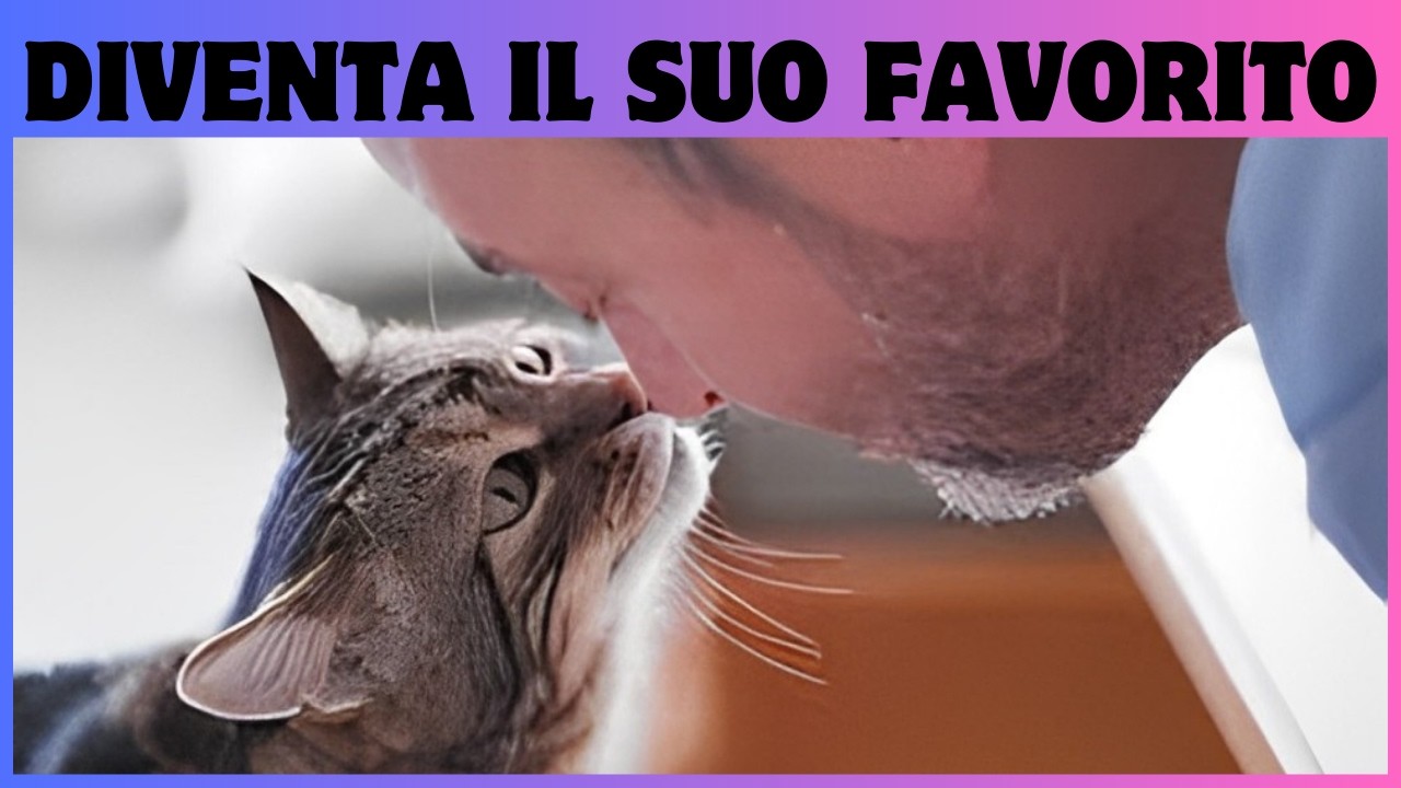 Come i gatti scelgono la loro persona preferita.