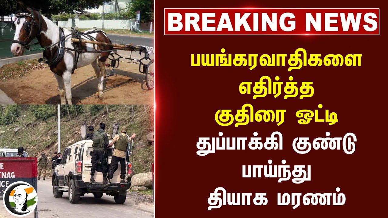 ⁣#breakingnews : பயங்கரவாதிகளை எதிர்த்த குதிரை ஓட்டி | Kashmir Attack | Pahalgam Terror Attack