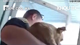Police rescue dog from burning home