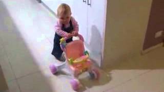 Fisher Price My Stroll & Play Walker