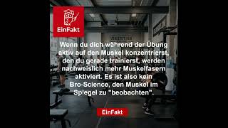 Keine Bro-Science! 🧠💪 | Wie dein Gehirn echte Muskeln aufbaut | EinFakt