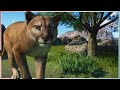 Bring on the Big Cats! | Planet Zoo Franchise | Lets Play Hard Mode