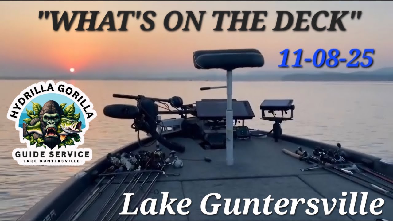11-08-25   “WHAT'S ON THE DECK”   Lake Guntersville Fishing Report / Hydrilla Gorilla Guide Service