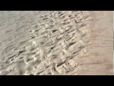 Crescent Beach Florida After Matthew Crescent Beach Florida After Matthew