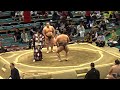大辻【大相撲令和8年3月場所】8日目 大阪場所【SUMO OSAKA DAY8】2026/3/15