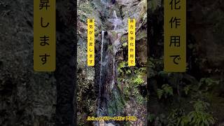 ✨この動画を再生すると強力な浄化作用で運気が上昇していきます⤴️ #浄化 #運気上昇 #スピリチュアル #パワースポット #遠隔参拝