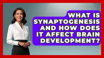 What Is Synaptogenesis And How Does It Affect Brain Development? - Brain Development Hub