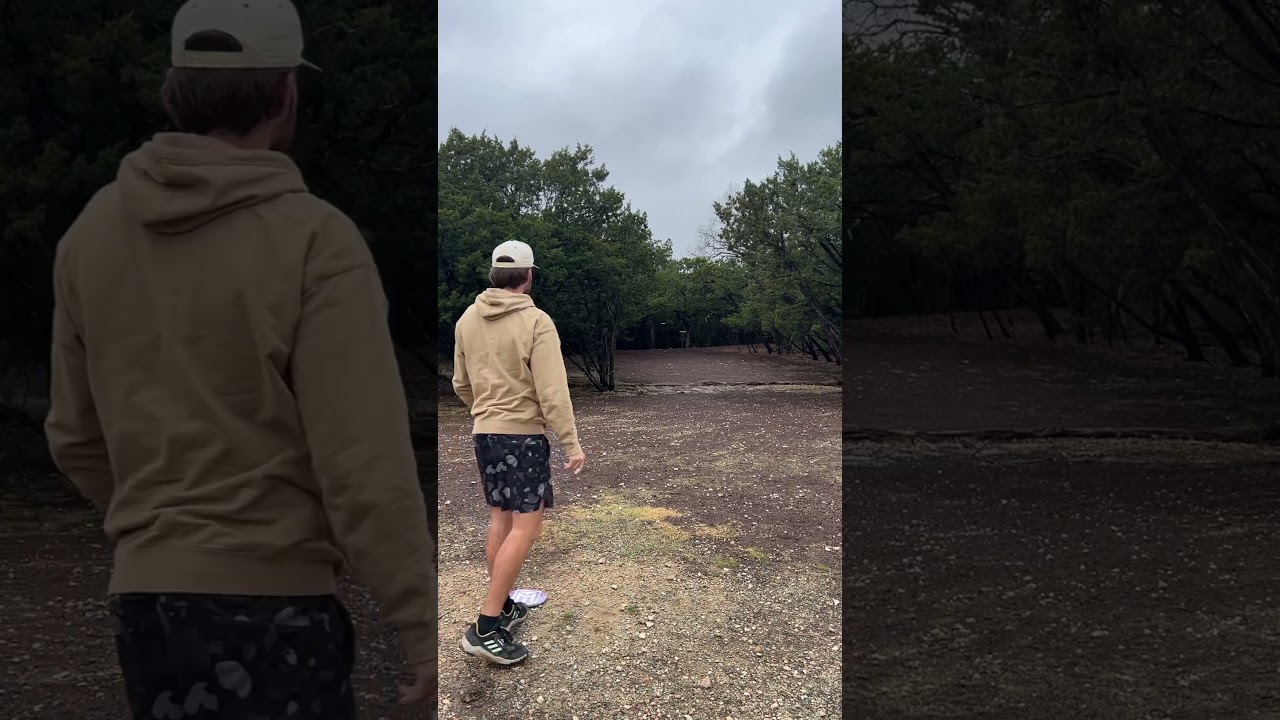 Can you guess what disc I threw? 