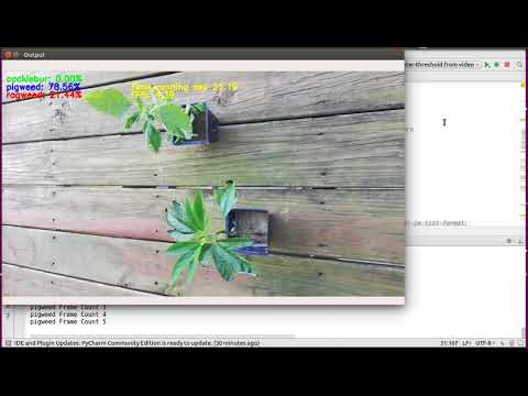 Weed detection from video using Keras and tensorflow