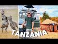 Full safari vlog  all 4 parks tarangire lake manyara ngorongoro  serengeti 2024