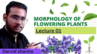Morphology of flowering plant part01(Introduction & Root) || NEET UG-2023 || Class 11th