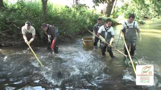 Pêche électrique sur la rivière de la smagne