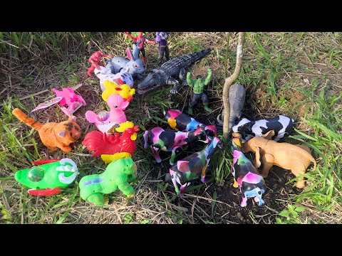 Menemukan Hewan Sapi Warna Warni Ayam Bebek Angsa Kerbau Kelinci Gozilla Sapi Super Buaya Gajah