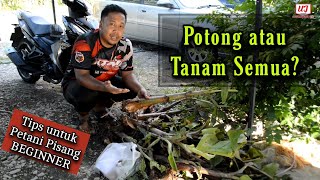 Download Lagu Nak Belajar Tanam Pisang? TENGOK VIDEO NI SAMPAI HABIS MP3