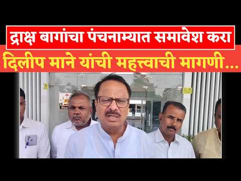 Solapur द्राक्ष बागांचा पंचनाम्यात समावेश करा ; दिलीप माने यांची महत्त्वाची मागणी...
