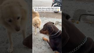 Daily fight… phir bhi bina baat kiye chain nahi 😅❤️ #ytshorts #viral #trending #dog #brother