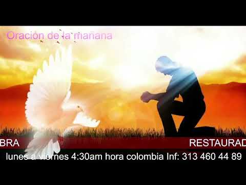 (#394) Oración de la mañana, Día Viernes. Romanos