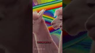 Meta Is War-Ready: Approves Use of Its A.I. Models for U.S. Military Applications screenshot 2