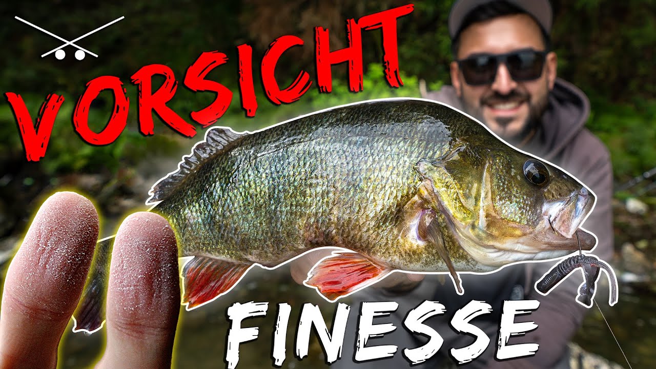 Barsche zerstören Daumen 😱 Angeln mit Drop Shot, Carolina Rig und Micro Jig