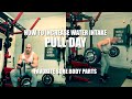Hoss Anabolic Pull Day. How To Increase Water Intake? Favorite Body Part To Be Sore.