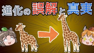 【ゆっくり解説】実は間違い生物の「進化」のイメージの誤解と真実…