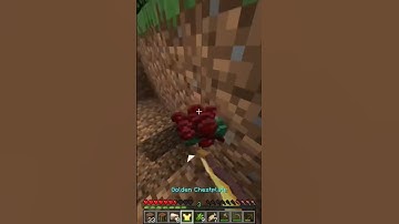 HOW TO STOP YOUR STUFF FROM DESPAWNING IN MINECRAFT🤯. #minecraft #game #youtubeshorts #minecrafttips