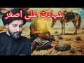 Shadat e Ali Asgar (A.S)