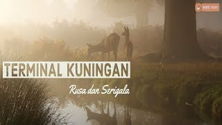 Video thumbnail of "TERMINAL KUNINGAN // Rusa dan Serigala"