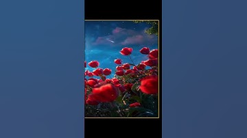 "Anh em cứ xin thì sẽ được,cứ tìm thì sẽ thấy, cứ gõ cửa thì sẽ được mở cho". (Mt 7,7).