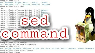 sed command in linux |Urdu/Hindi| use of sed account