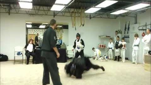 Defense Against two BlackBelt  Attackers TeamNMP teamnmp.us