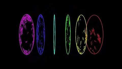 Separated flocks. Draw by openFrameworks