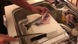 究極の魚 チヌ 黒鯛 捌き方 誰でも簡単 としやんの簡単料理動画まとめ