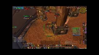 Chrisxd Lvl 70 Warrior Pvp Elitcpu