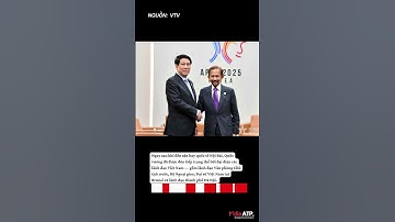 Quốc vương Brunei thăm cấp Nhà nước tại Việt Nam