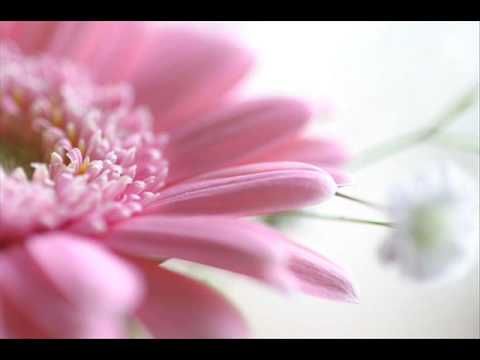 Antonio Vivaldi: Nisi Dominus [Psalm 126] in A maj...