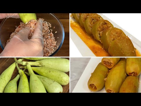 قرع أخضر محشي رقابي   قرع محشي   