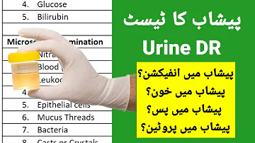 Urine Test in Hindi/Urdu | Understand Urine Analysis Report | How to Read Urinalysis Result