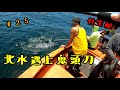 北水#25 北水遇上鬼頭刀 20200711