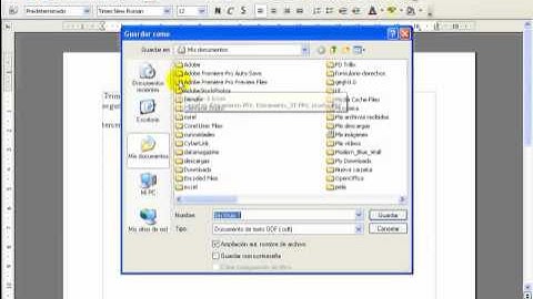 Cómo guardar/OpenOffice Write/AulaFacil.com
