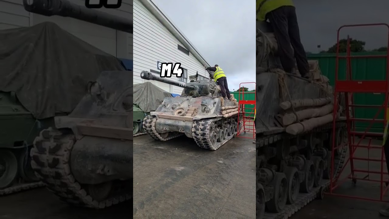 Sherman 'Fury' #shorts