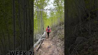 Spring has sprung in the Rockies. WEEK 28 is live