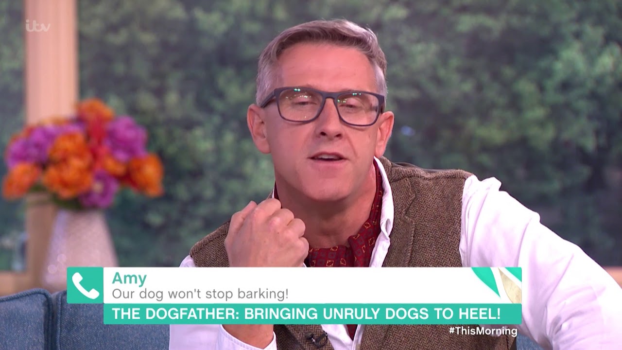 graeme hall reactive dogs