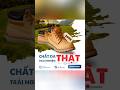 Гќ TЖ б џng Poster GiГ Y Дђб C ДђГЎo TrГЄn Canva Canvatips Hoccanva Гќ TЖ б џng Poster GiГ Y Дђб C ДђГЎo TrГЄn Canva Canvatips Hoccanva