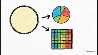 Univariate Visualization